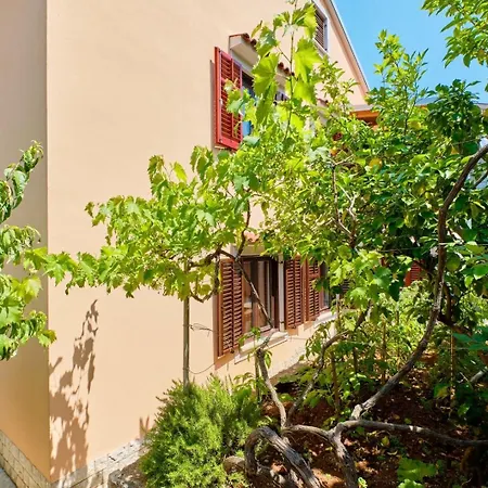 Ady Maison d'hôtes Mali Lošinj